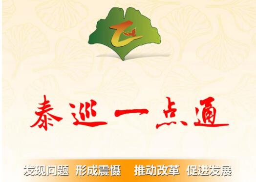 泰巡一點(diǎn)通專題